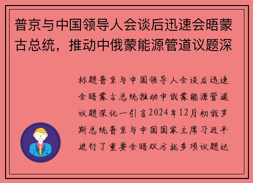 普京与中国领导人会谈后迅速会晤蒙古总统，推动中俄蒙能源管道议题深化