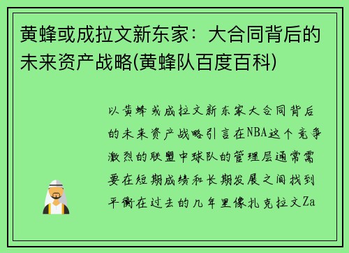 黄蜂或成拉文新东家：大合同背后的未来资产战略(黄蜂队百度百科)