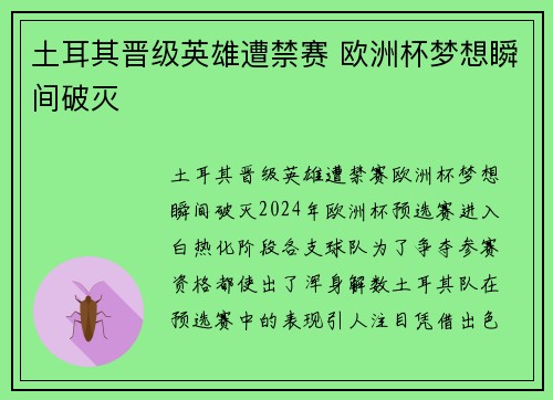 土耳其晋级英雄遭禁赛 欧洲杯梦想瞬间破灭